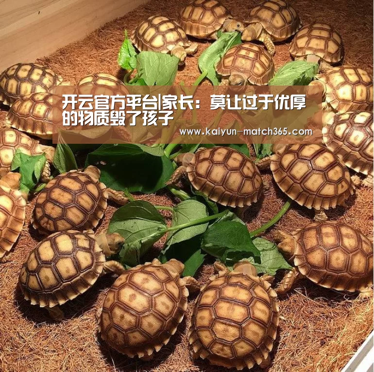开云官方平台|家长:莫让过于优厚的物质毁了孩子(图3) 开云官网